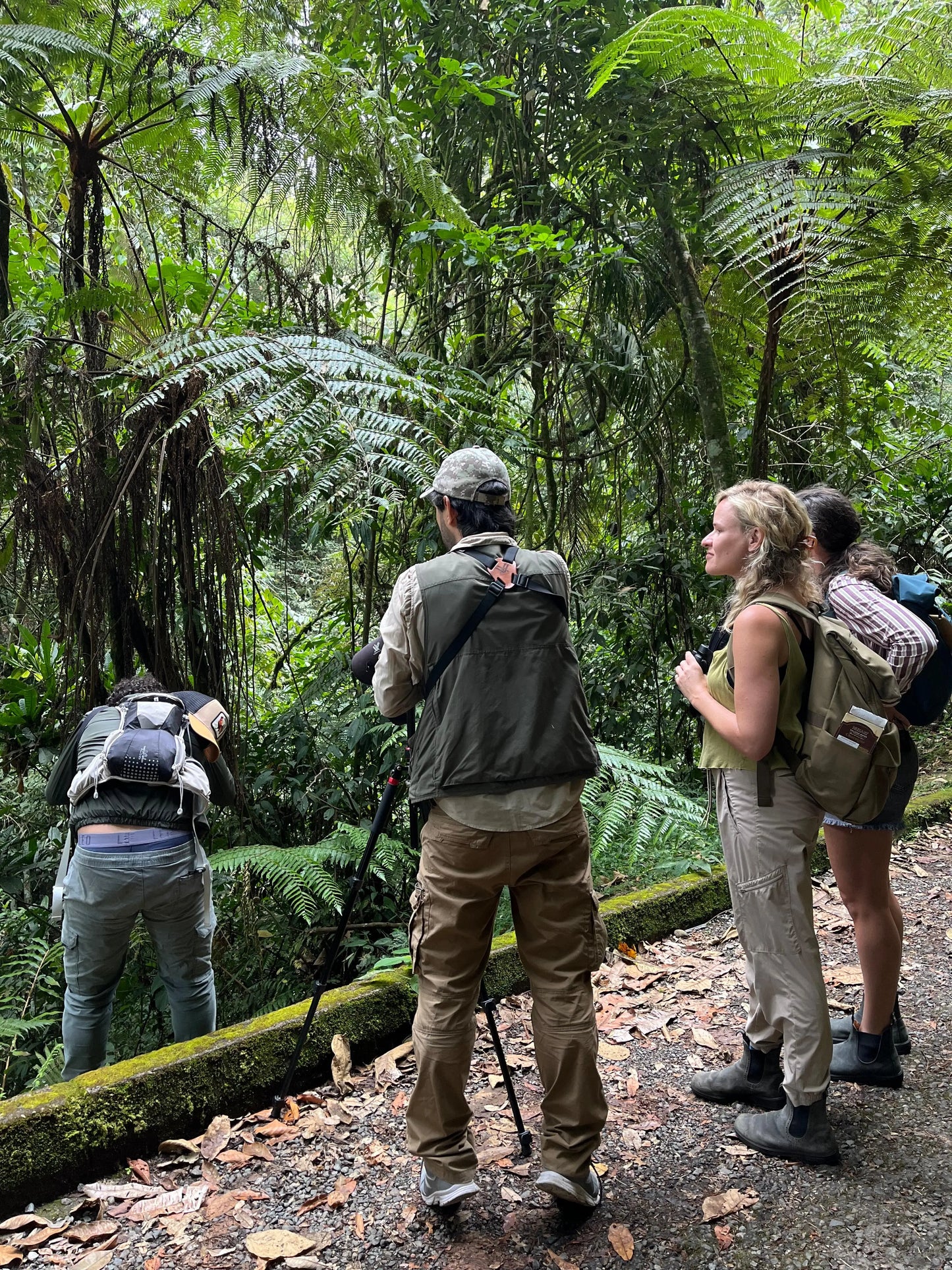 2 Participants (Private Tour) Medellín Birdwatching Half-Day Tour Medellin Real Adventure
