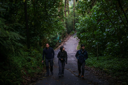 2 Participants (Private Tour) Medellín Birdwatching Half-Day Tour Medellin Real Adventure