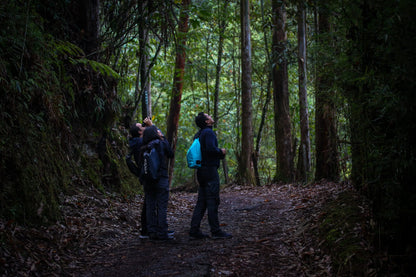 2 Participants (Private Tour) Medellín Birdwatching Half-Day Tour Medellin Real Adventure