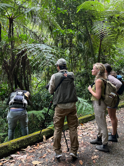 2 Participants (Private Tour) Medellín Birdwatching Half-Day Tour Medellin Real Adventure