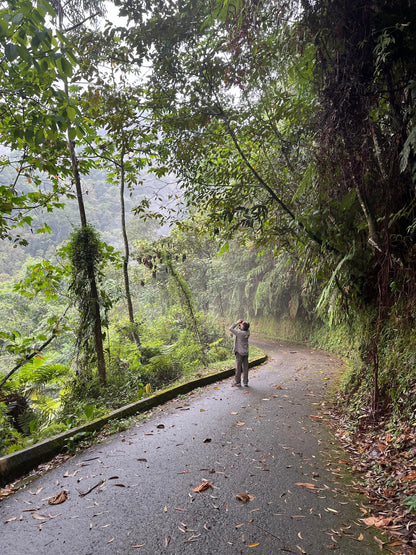 2 Participants (Private Tour) Medellín Birdwatching Half-Day Tour Medellin Real Adventure